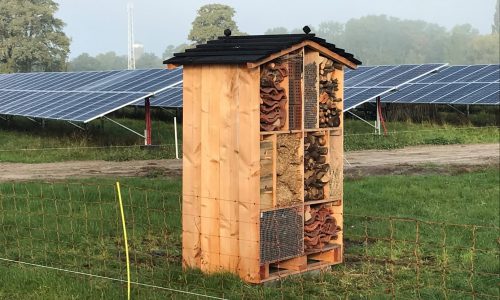 MorgenZon ontwikkelt één van de eerste waterstofproducerende zonneparken